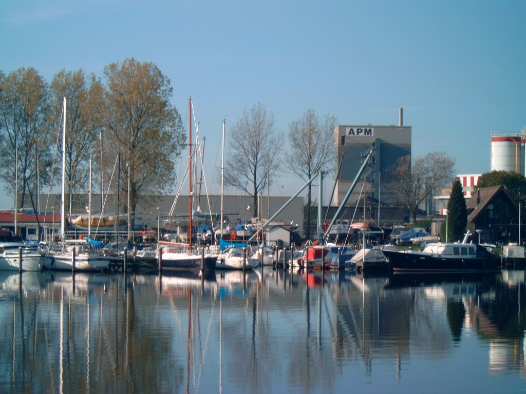 WV De Schelde Sailability Locatie Bergen Op Zoom